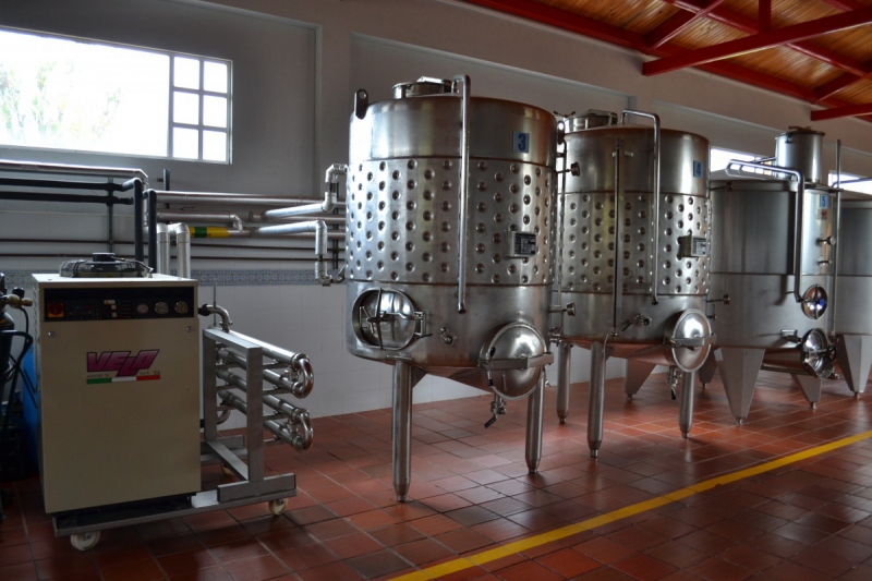 cave-HYERES-min_wine_production_cantine_winery_drink_alcohol_vine_beverage-902036